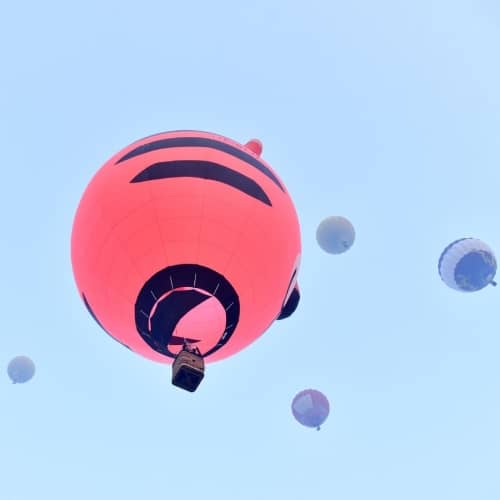Hot Air Ballooning Ride in MP