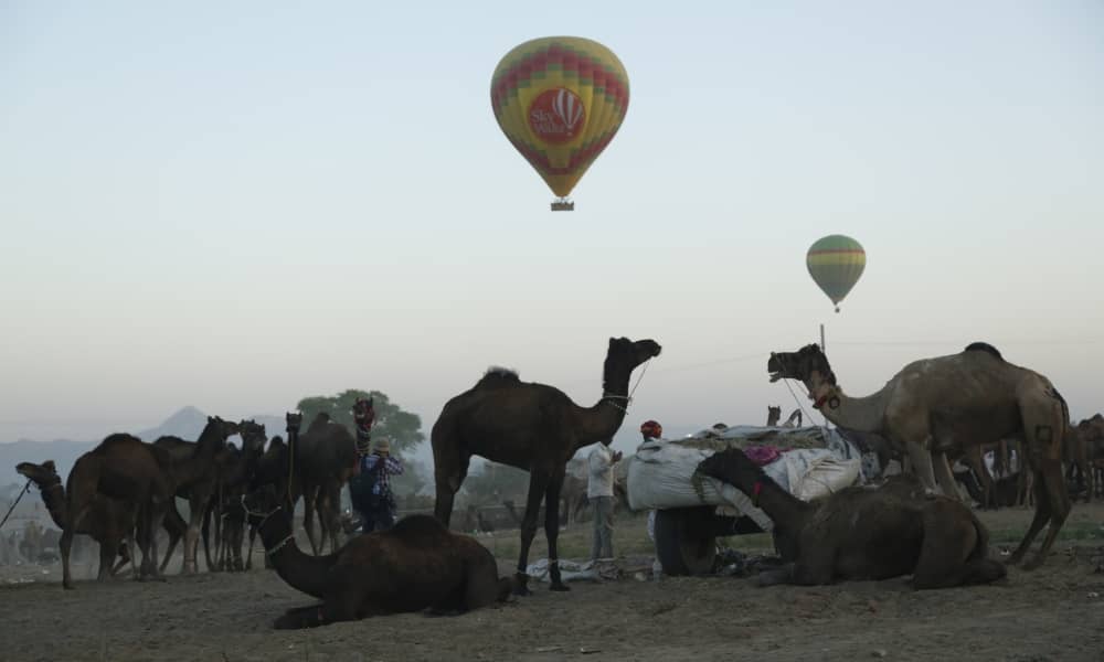 hot air balloon ride in jaipur